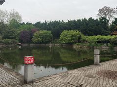 -嘉定紫藤园