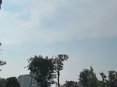 -桂溪生态公园