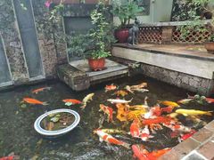 -馨园villa融合菜(东山店)