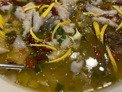 -花溪雨·森林餐厅(石基店)