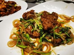 -燕春楼(海河华鼎店)