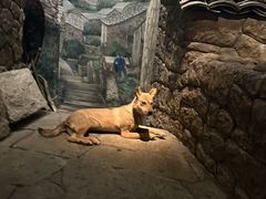 -台州博物馆
