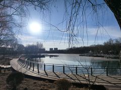 -大兴滨河森林公园