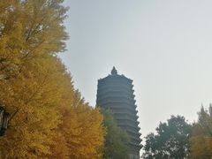-玲珑塔公园