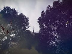 -重庆市江北嘴中央商务区中央公园