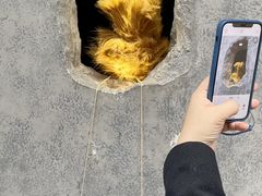 -LADY FAFA(巨鹿路陕西南路路口店)