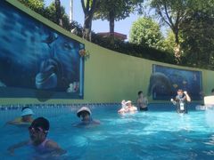 -重庆海昌加勒比海水世界