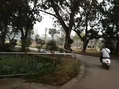 -广西壮族自治区药用植物园