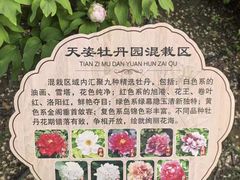 -太阳宫公园