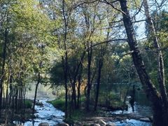 -玉渡山自然风景区