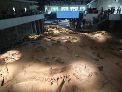 -自贡恐龙博物馆