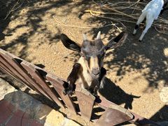 -清风小镇闯关东影视基地