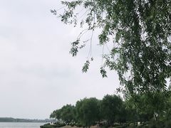 -丁香湖公园