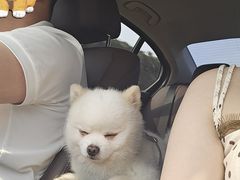 -盱眙虾怪·旗舰店