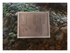 景观位-Seesaw Coffee(朝阳大悦城店)