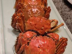 -南京大牌档(中关村领展广场店)