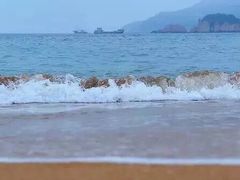 -枸杞岛