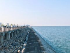 -天津东疆湾沙滩景区