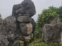 -都江堰玫瑰花溪谷