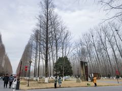 -黄海国家森林公园