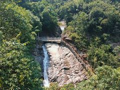 -广州白江湖森林公园