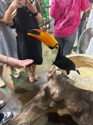 -Zoolung Zoolung动物主题公园(海信广场店)