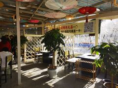 -蘑统田下·野生菌火锅