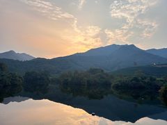 -龙坞茶村