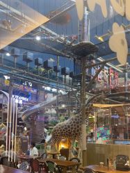 -卡通尼·Safari非洲探索乐园·生日会(金桥国际商业广场店)