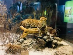 -陕西自然博物馆