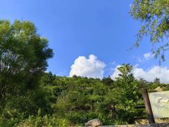 -九如山休闲旅游度假区
