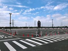 -迪士尼乐园停车场
