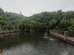 -连云港云龙涧原生态风景区