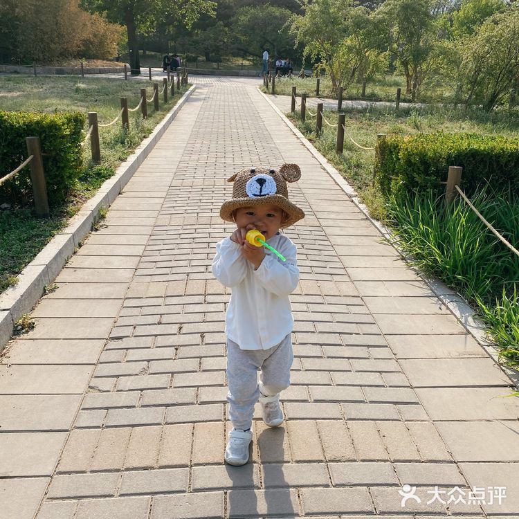 10块钱的遛娃好去处～