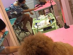 -小呆的宠物店·宠物售卖·宠物寄养(城西店)