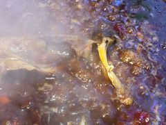 -三顾烤庐·烤鱼·烧烤·龙虾(奉贤店)