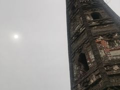 -上海佘山国家森林公园天马山园