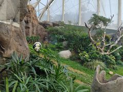 -香港海洋公园