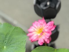 -香积寺