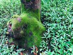 -清远恒大酒店·寻味清远