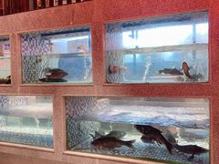 -格塘人家·山泉水煮鱼(望兴家园店)