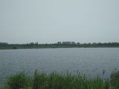 -绿堤公园