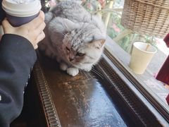-不舍昼夜咖啡馆