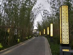 -水月周庄铂尔曼酒店 · 漾全日餐厅