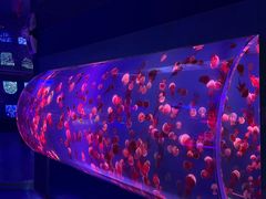 -左海海底世界