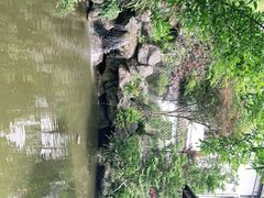 -浣花小筑