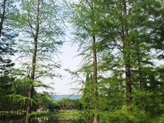 -尚湖风景区