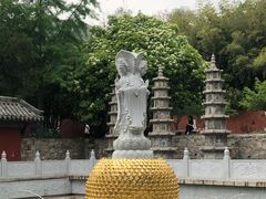 -泰山风景名胜区-普照寺