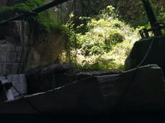 -蛇蟠岛