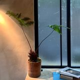 成都新店｜有点韩的空间